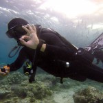 11150800_455204981320311_7832986858254216837_n